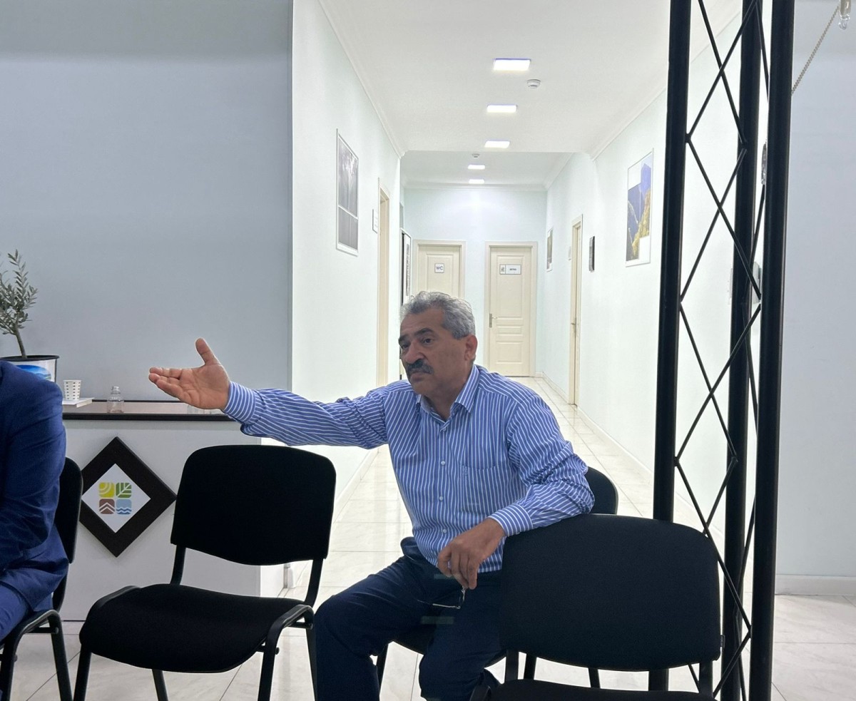 Beton şəhərlər mikroiqlimi məhv edir - Memar